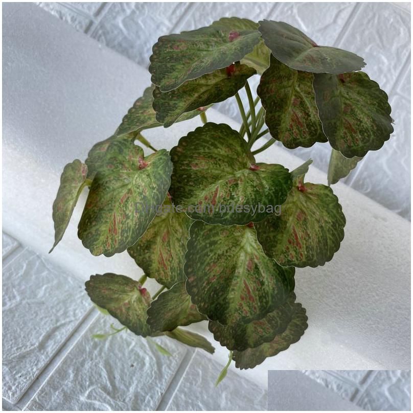 Begonia Red Dot