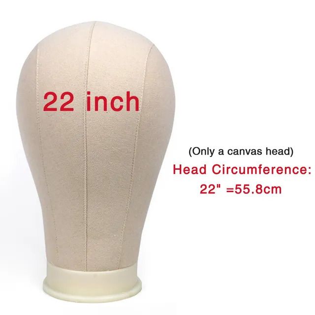 22inches seulement la tête