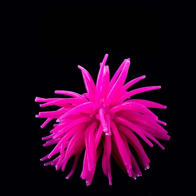 Pink-about 10cm