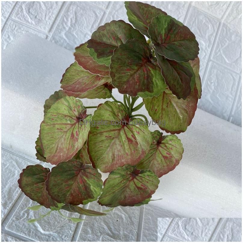 Begonia Red Green