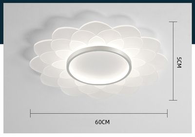 changeable A 60 CM