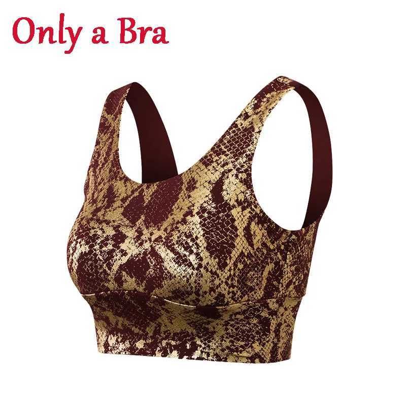 brownred a bra