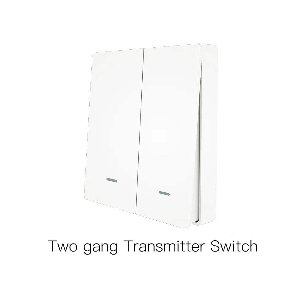 2 Gang vice Switch