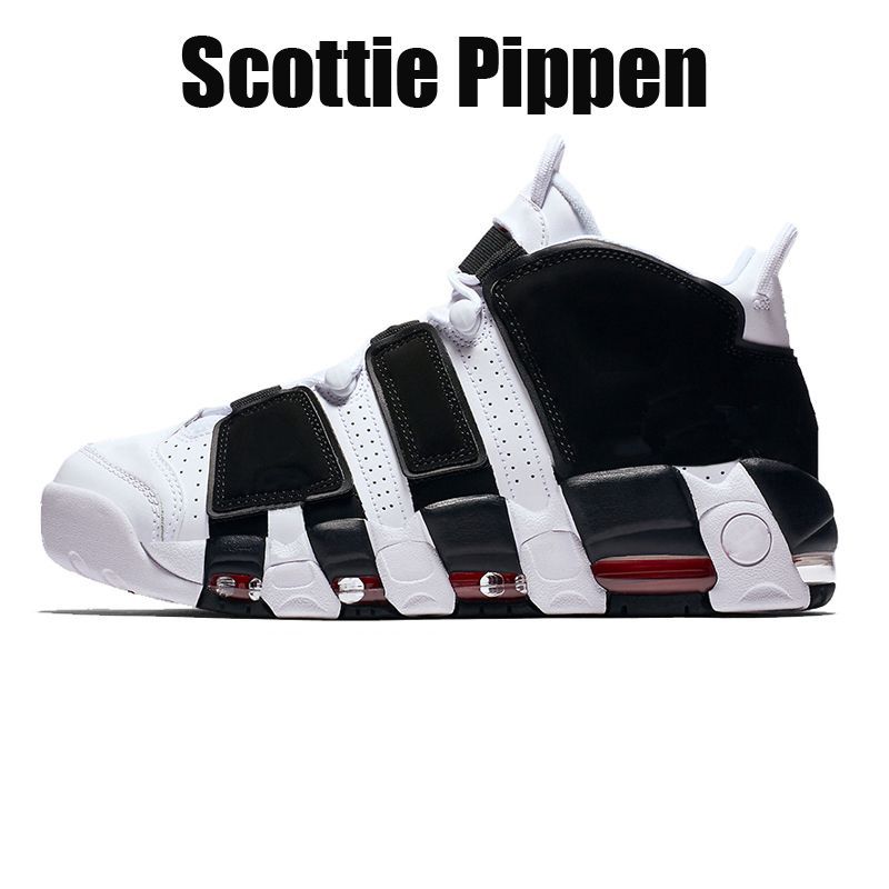 sku_#14 Scottie