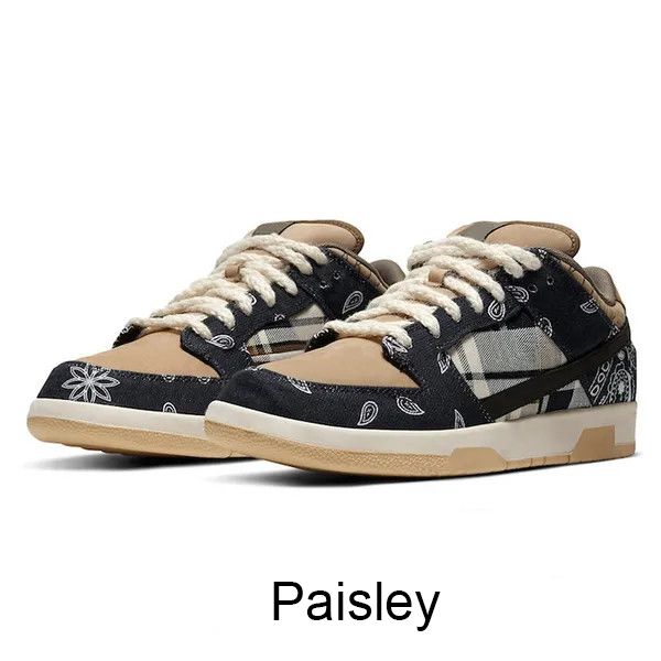 #42 Paisley