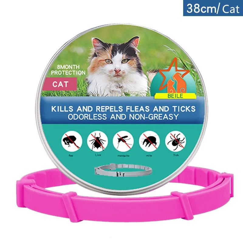 Cat-38cm Box p