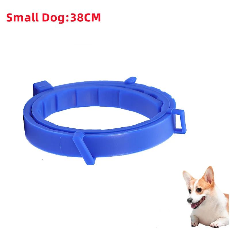 Kleiner Hund – 38 cm gegenüber b