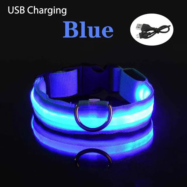 Charge USB bleue