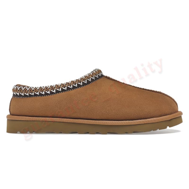 W40 Tasman Chestnut 36-43 130