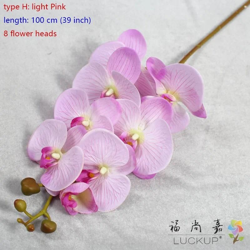 type H light Pink