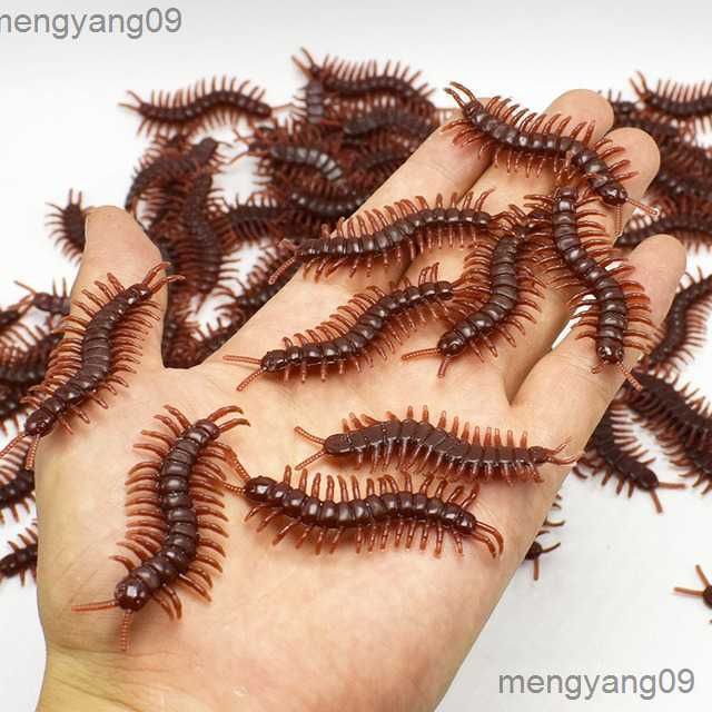 Centipede