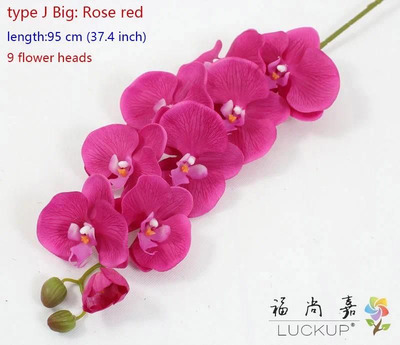 type J big Rose red