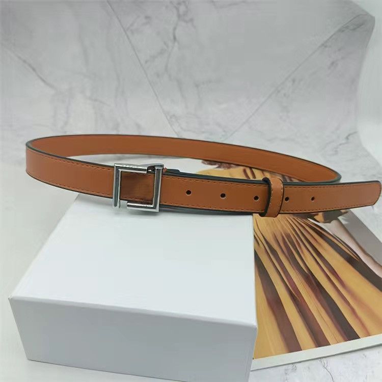 Brown silver buckle