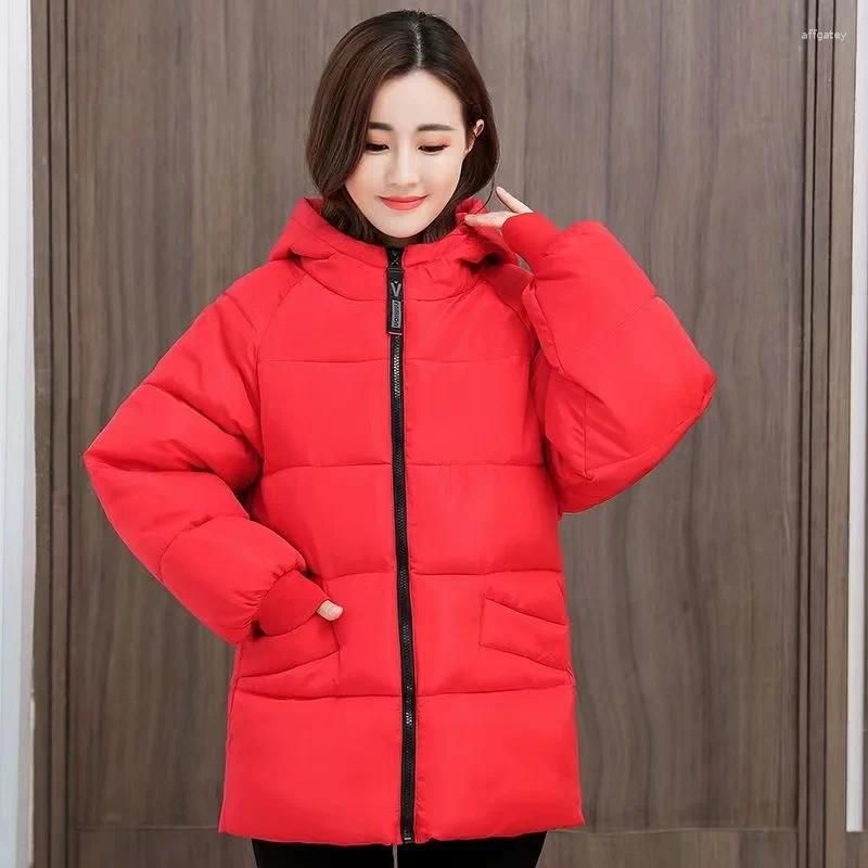 8xl coats store