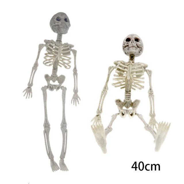 Imagem do esqueleto