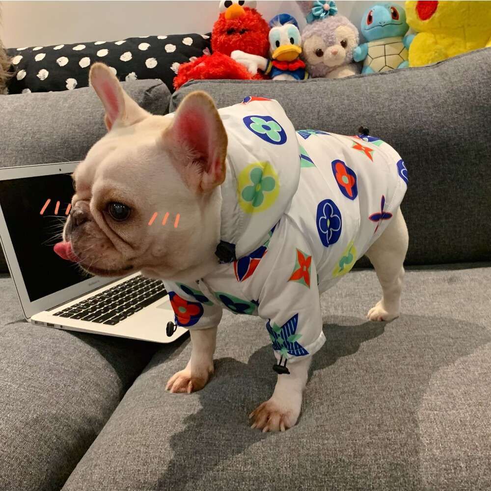 Cheap top dog clothing