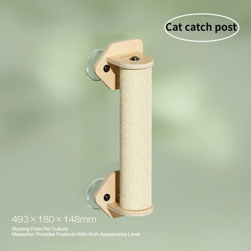 Cat Catch Post