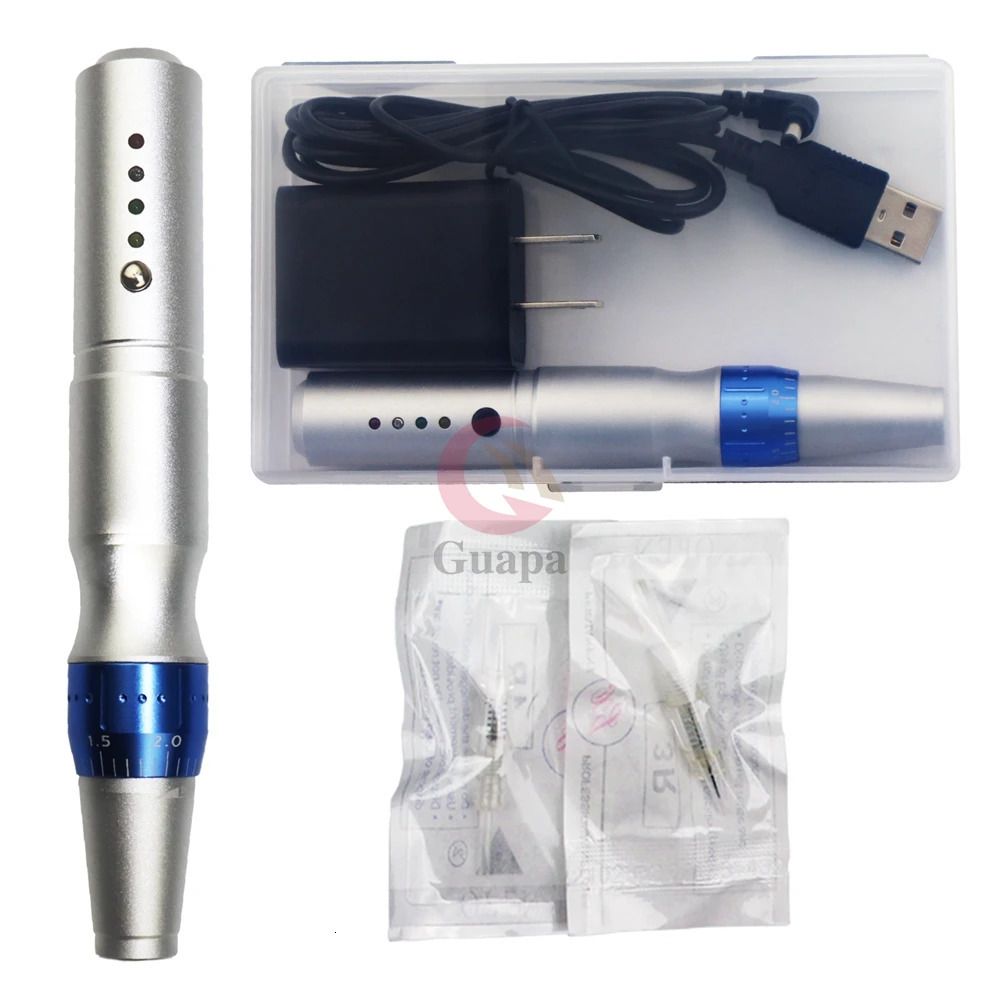 Silver Pen Us Plug