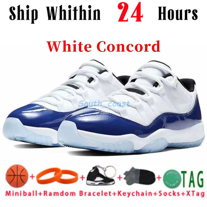 31 White Concord