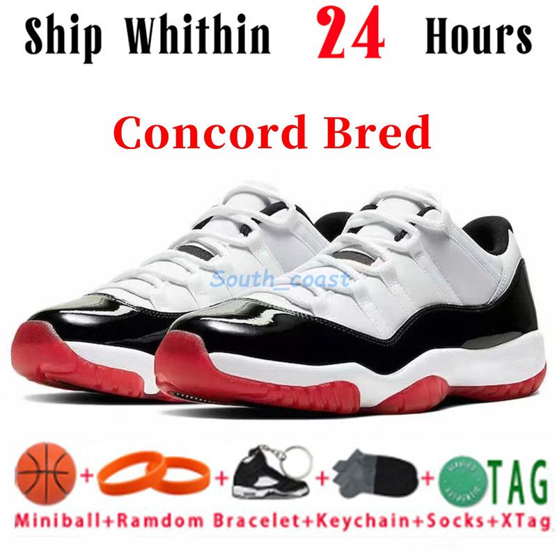 25 Concord Bred