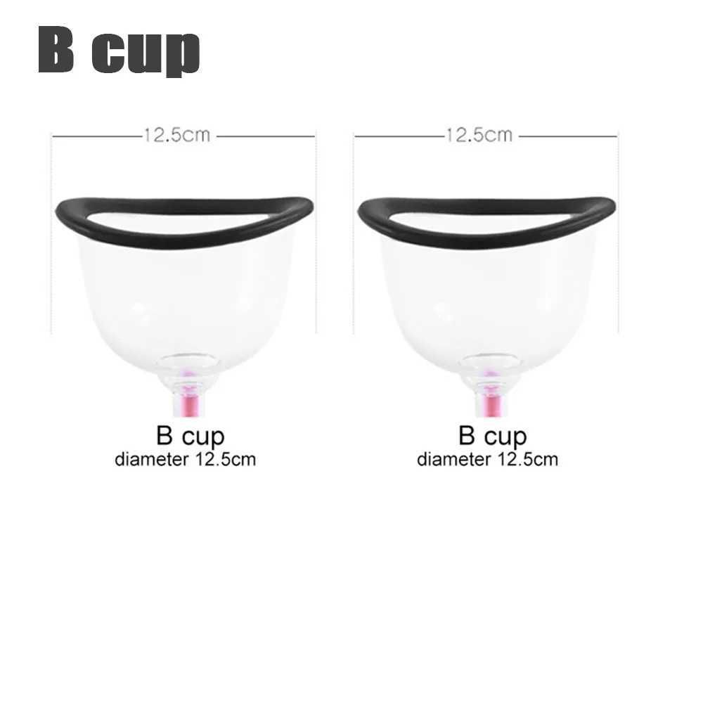 b Cup