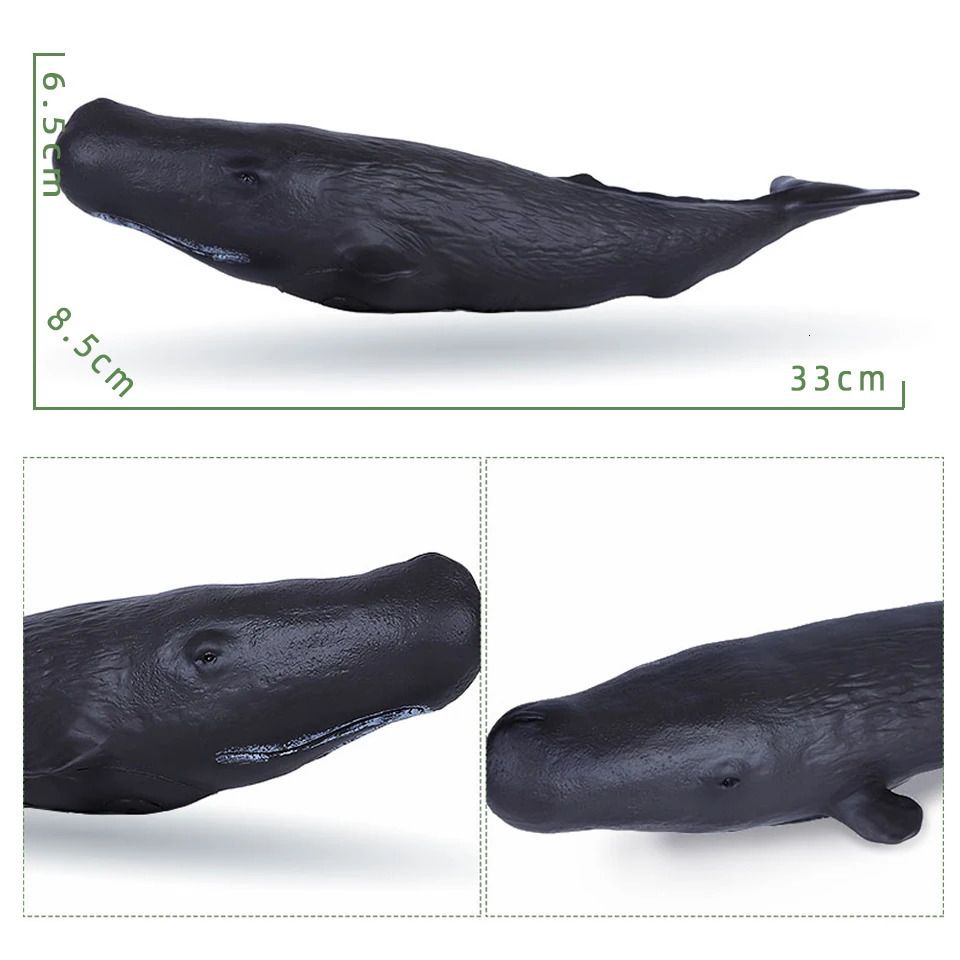 Whale spermacet