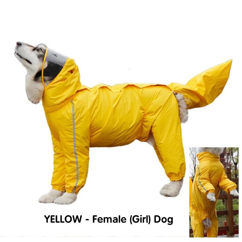 geel voor meisjeshond