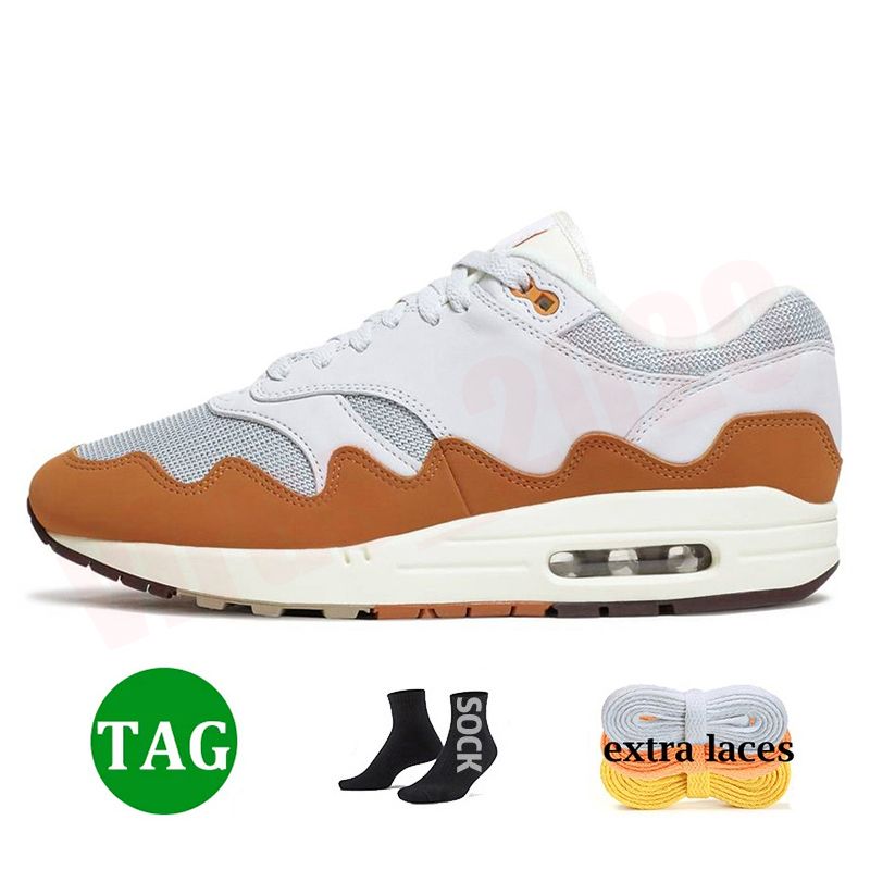 F81 Patta Waves Monarch 36-47