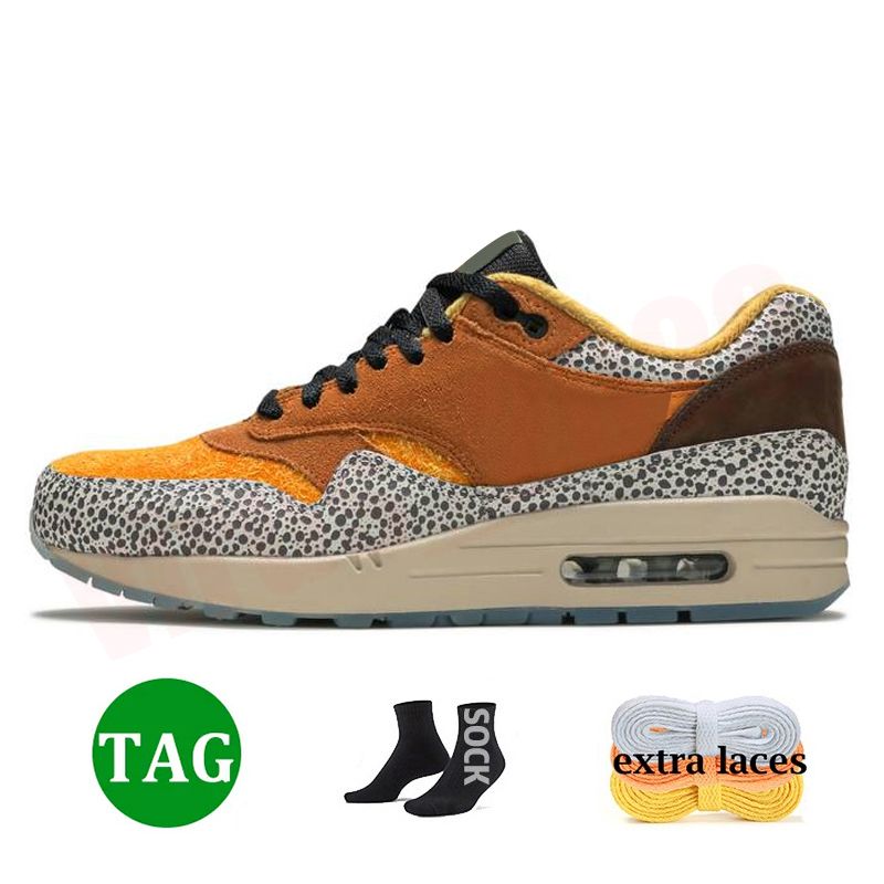 F75 Atmos Safari 36-47