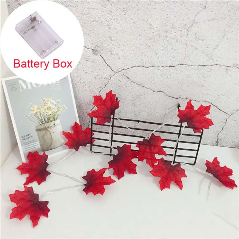 Red-battery Box-3m 20led