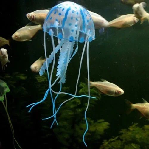 Jellyfish Blue