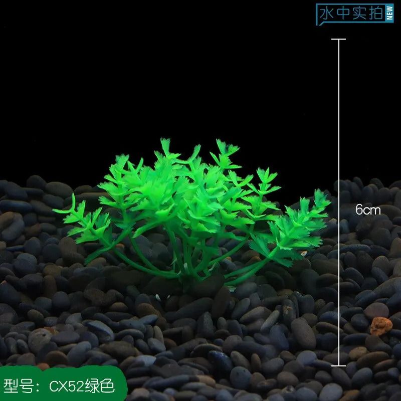 Aquarium Plant b-5x5cm