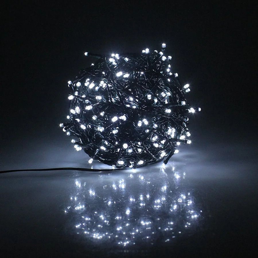 ホワイトEUプラグ10M 100LEDS