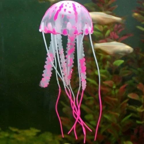 Jellyfish Pink