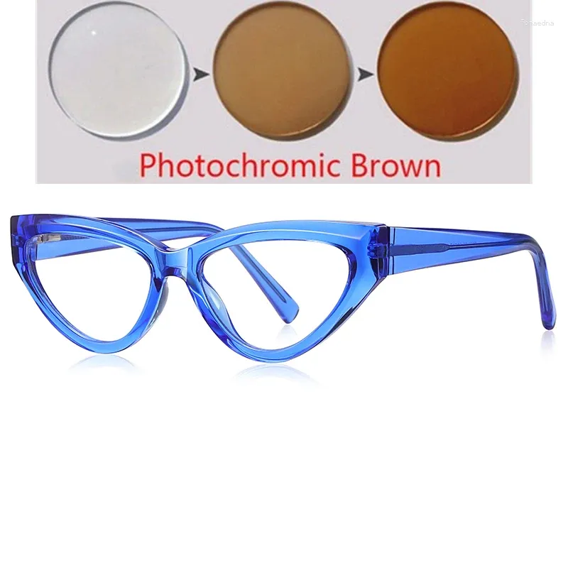 Photochromic Tea C5