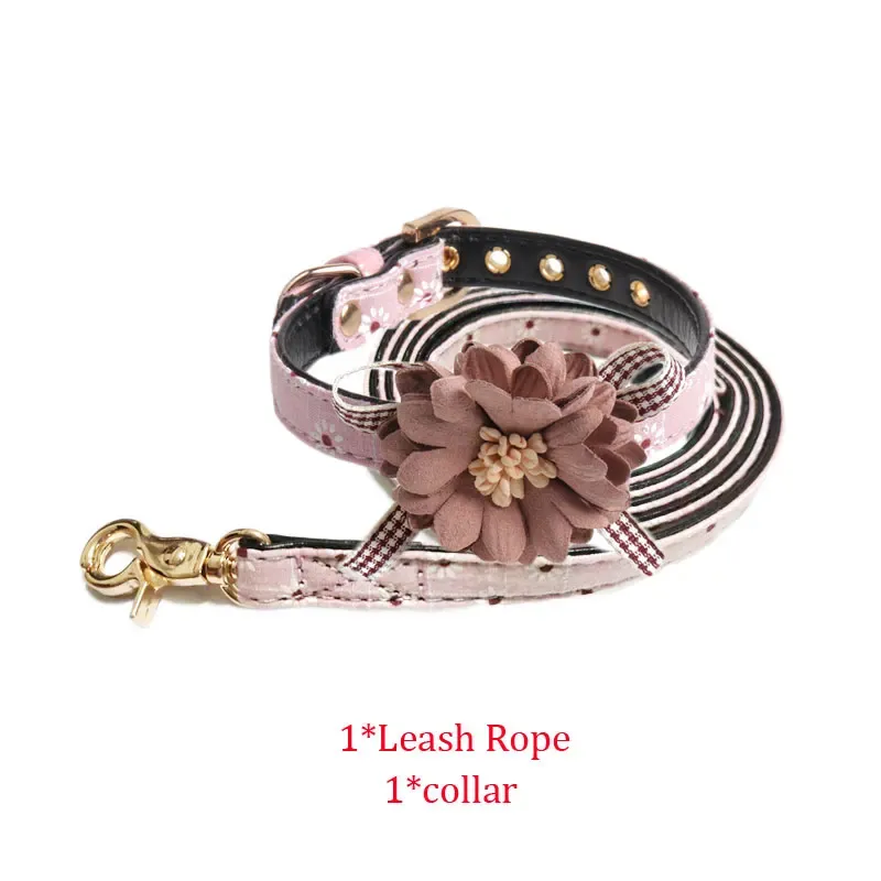 Laisse collier pour chien 2