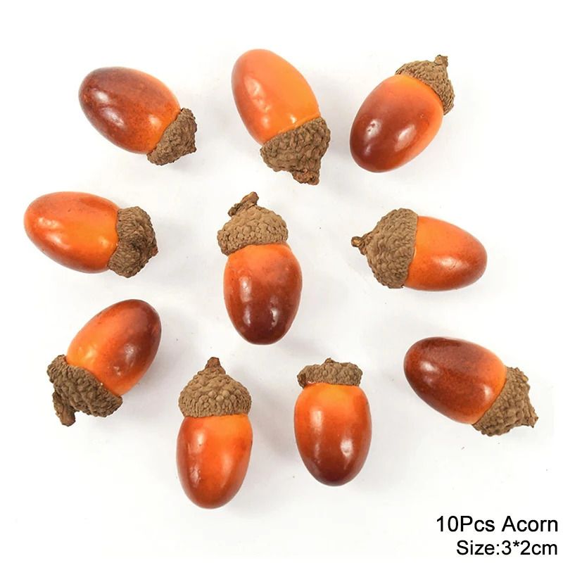 10pcs Acorn