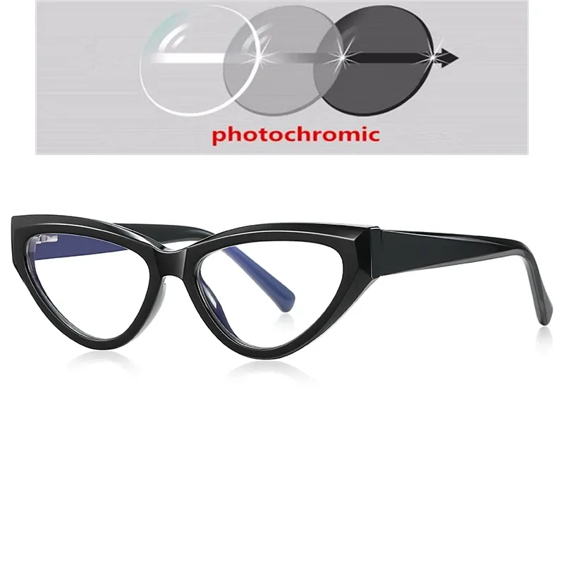 Photochromic Gray C1