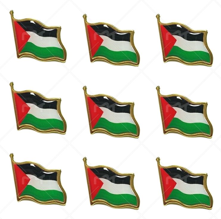 Palestine world flag lapel pin, country flag pins