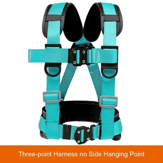 3 Point Harness A2
