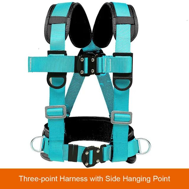 3 Point Harness A1