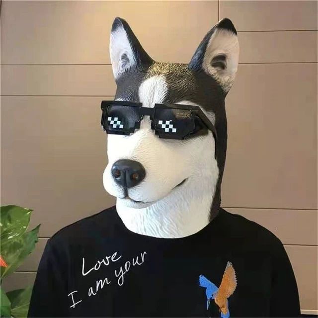 Chien avec des lunettes