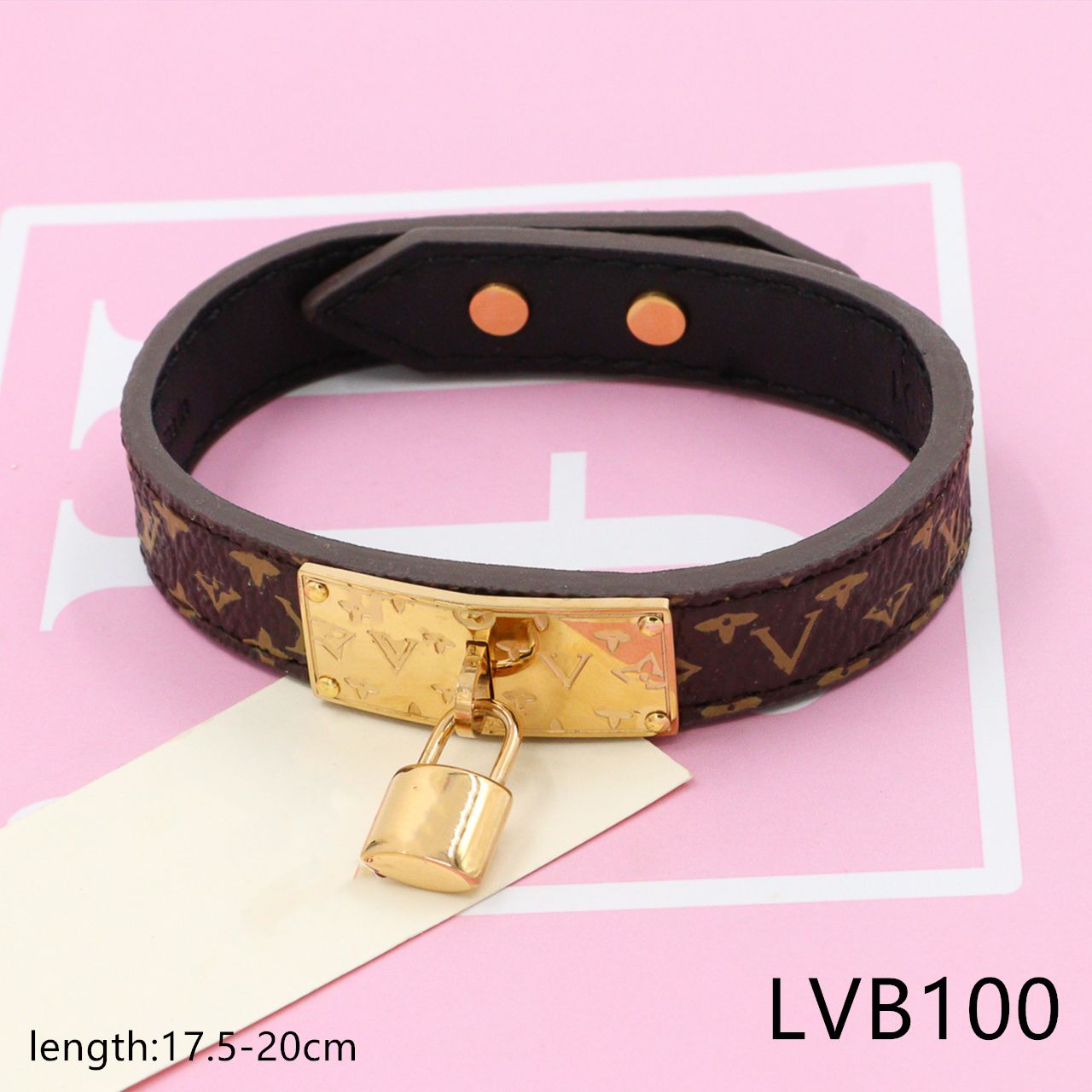 LVB100