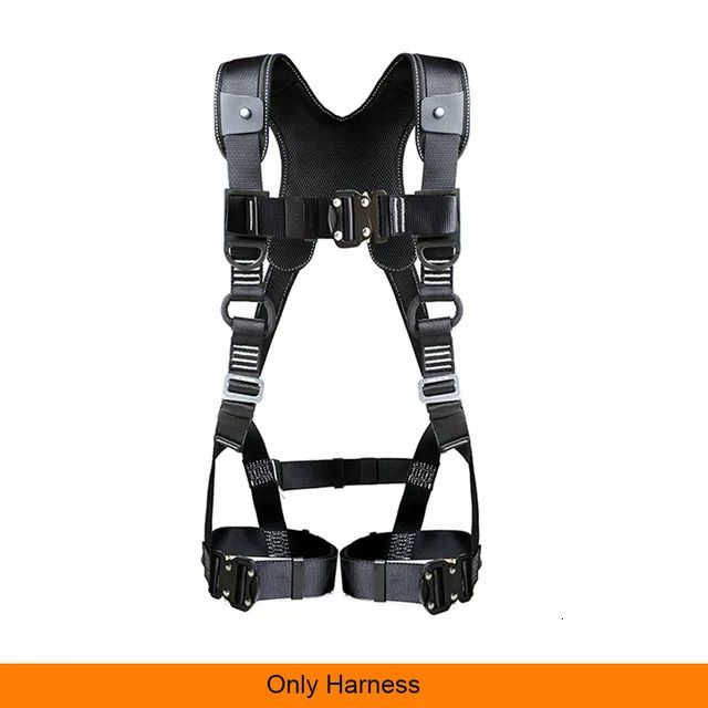 Safety Harness