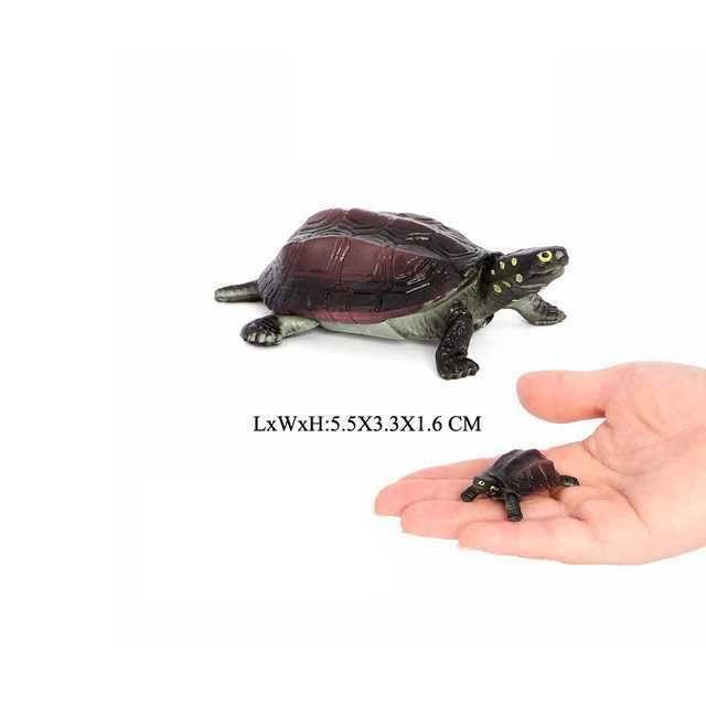 Turt morski 7