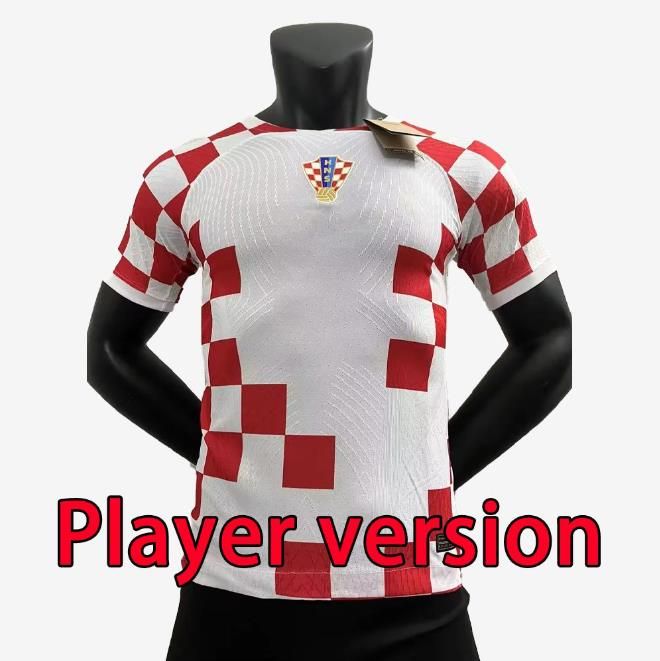 2022 Home Player Version