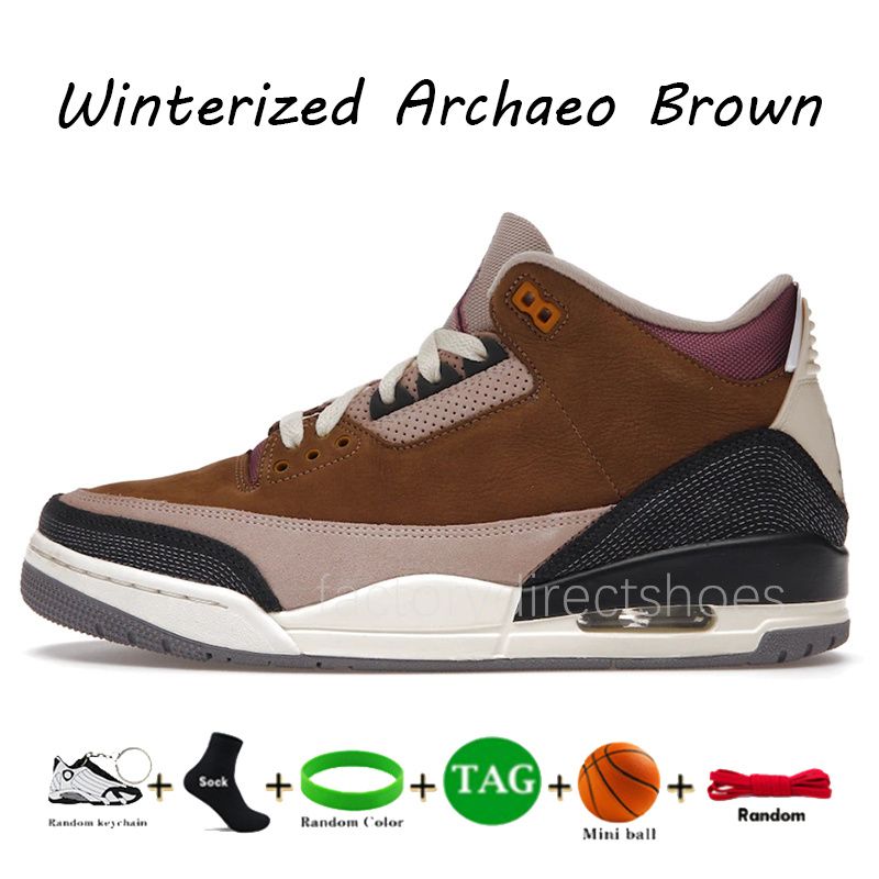 04 겨울 화 된 Archaeo Brown