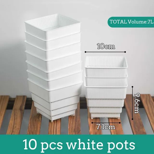 Blanc - 10 Pcs 10 cm