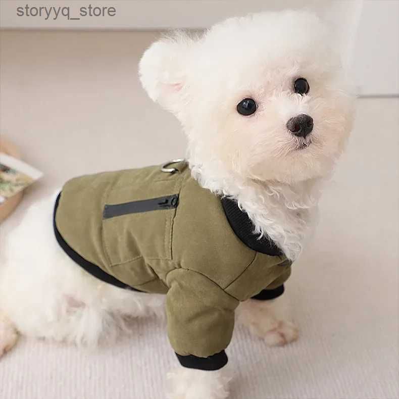Schnauzer clothing cheap and accessories