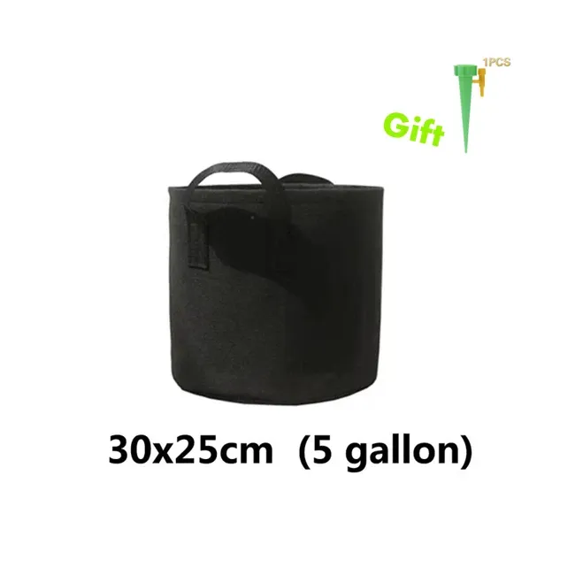 Black 5 gallon
